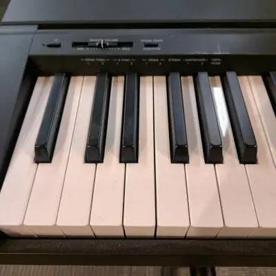 Store Special Product - Yamaha - P45 B